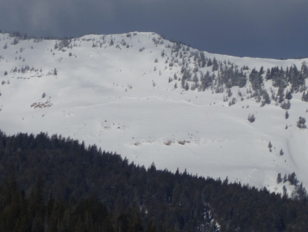 Natural Avalanche - Northern Bridger Range 