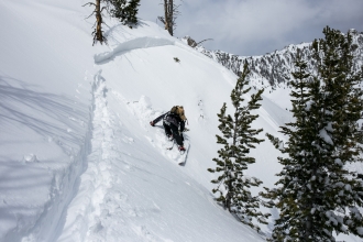 Beehive/Middle Basin Avalanche