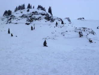 Natural Avalanche - Northern Gallatin Range