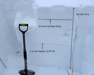 Yellow Mountain Snowpack North Facing - 2-17-13